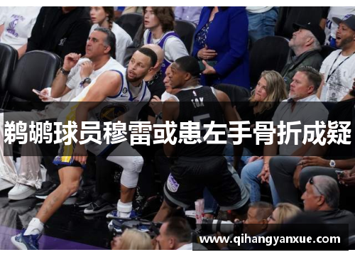 鹈鹕球员穆雷或患左手骨折成疑